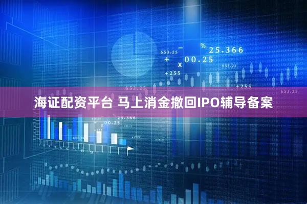 海证配资平台 马上消金撤回IPO辅导备案