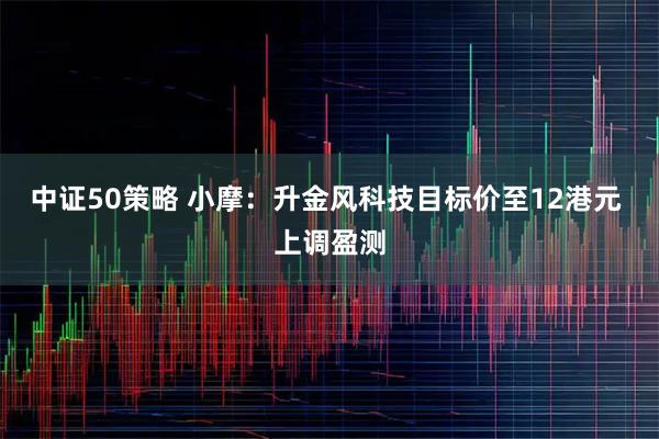 中证50策略 小摩：升金风科技目标价至12港元 上调盈测