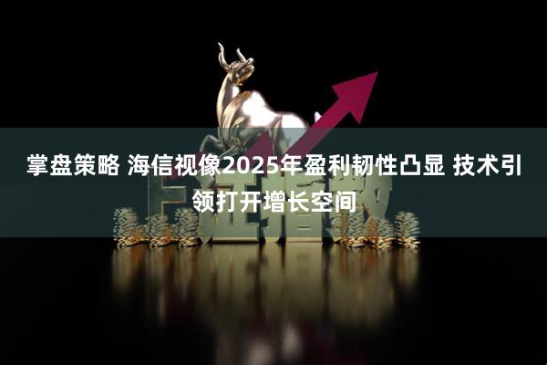 掌盘策略 海信视像2025年盈利韧性凸显 技术引领打开增长空间