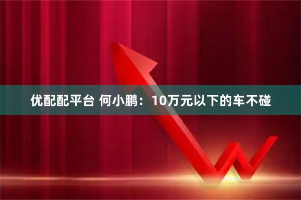 优配配平台 何小鹏：10万元以下的车不碰