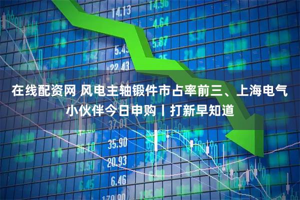 在线配资网 风电主轴锻件市占率前三、上海电气小伙伴今日申购丨打新早知道